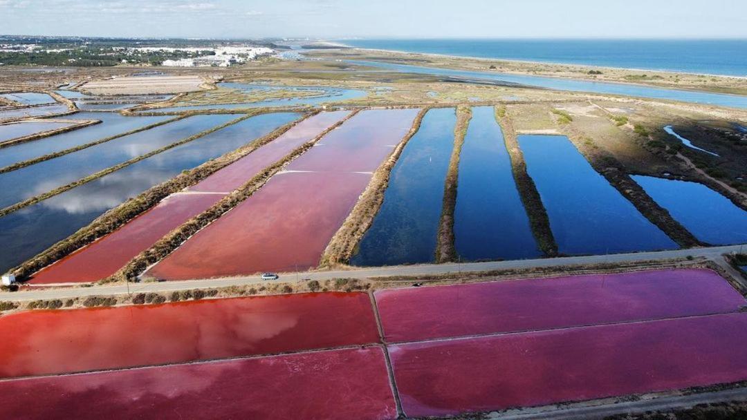 Apartamento Monte Da Eira Tavira Dış mekan fotoğraf