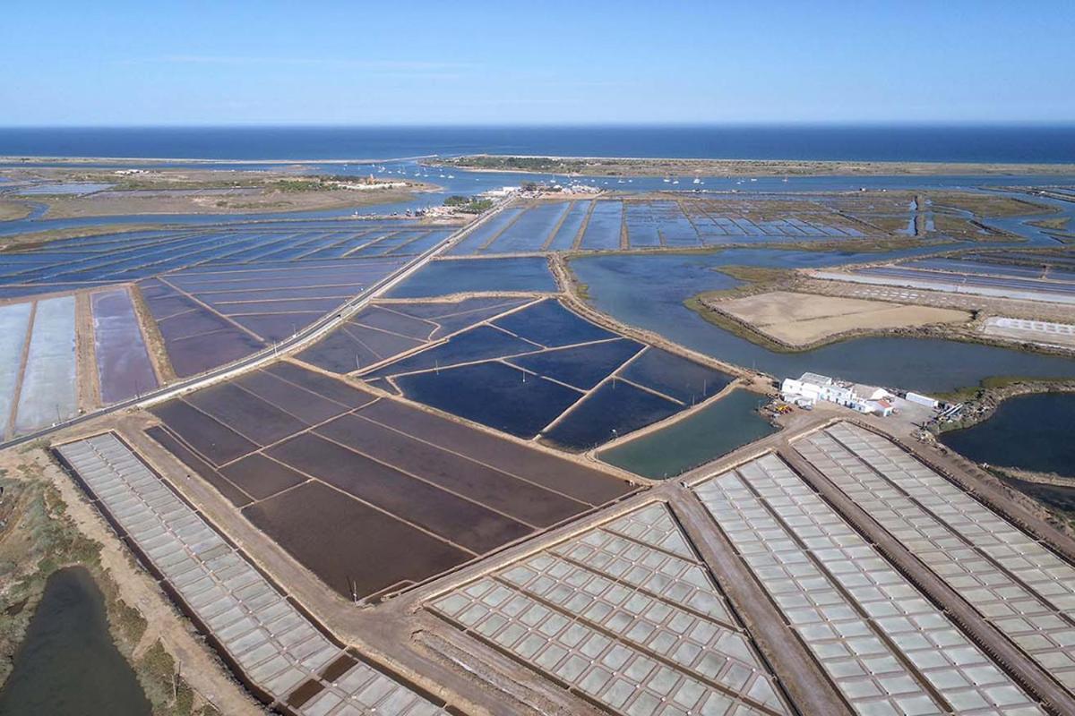 Apartamento Monte Da Eira Tavira Dış mekan fotoğraf
